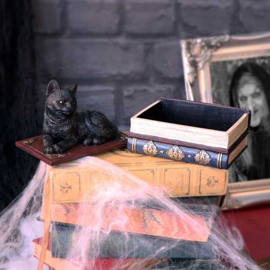 NN Salems Spell box1