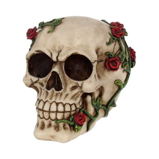 NN Skull Rose From Beyond