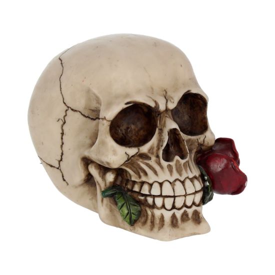 NN Skull Rose From the dead