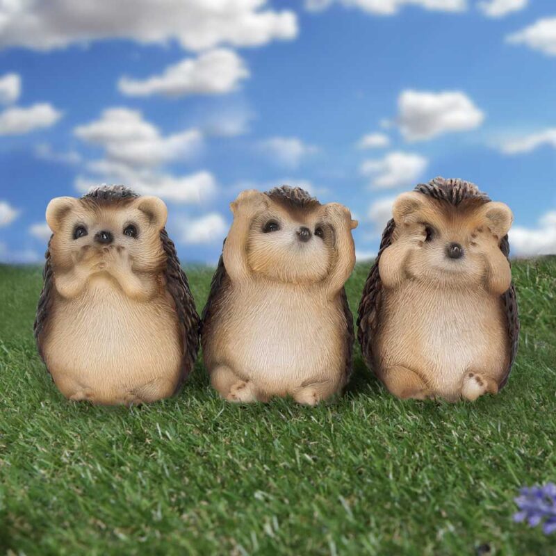 NN Three Wise Hedgehogs