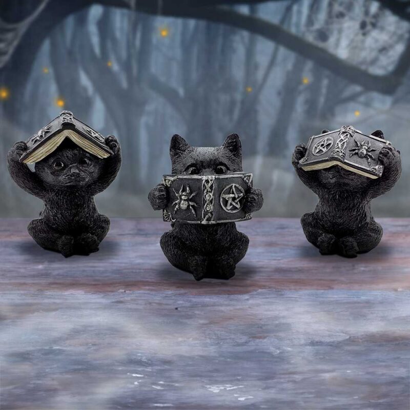 NN Three Wise Spell Cats