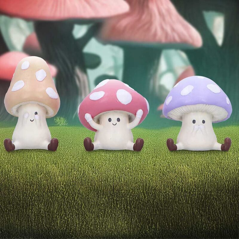 NN Three Wise Shrooms