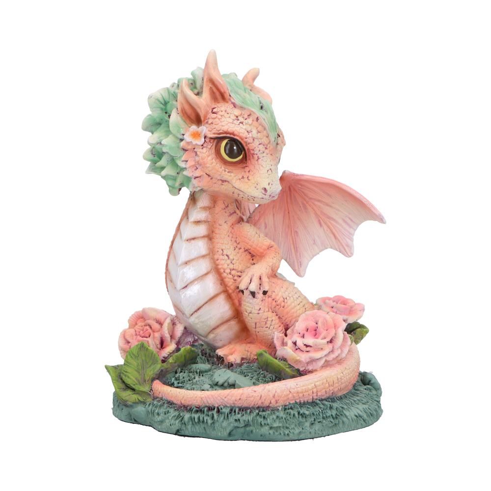 nn flower dragon carnation 1