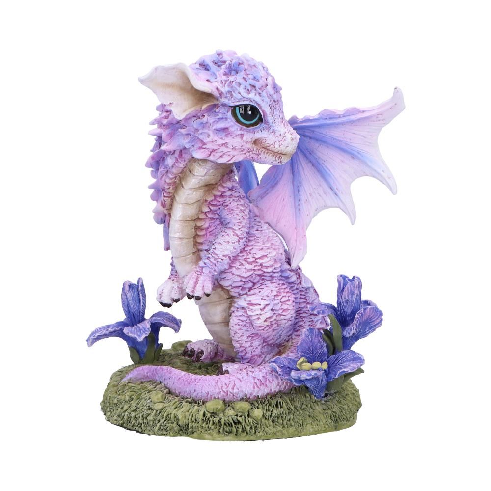 nn flower dragon iris 1