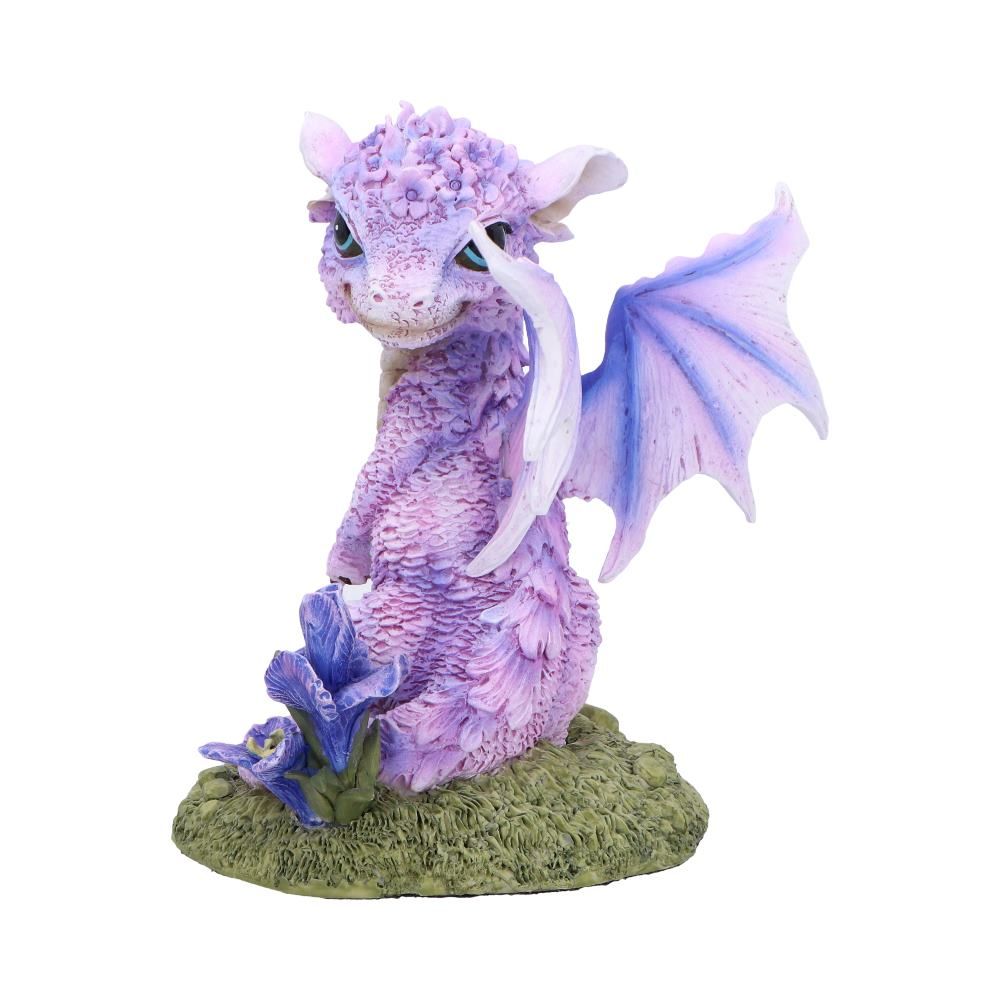 nn flower dragon iris 2