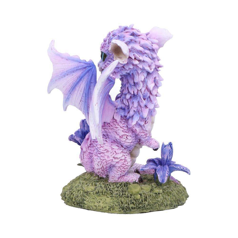 nn flower dragon iris 3