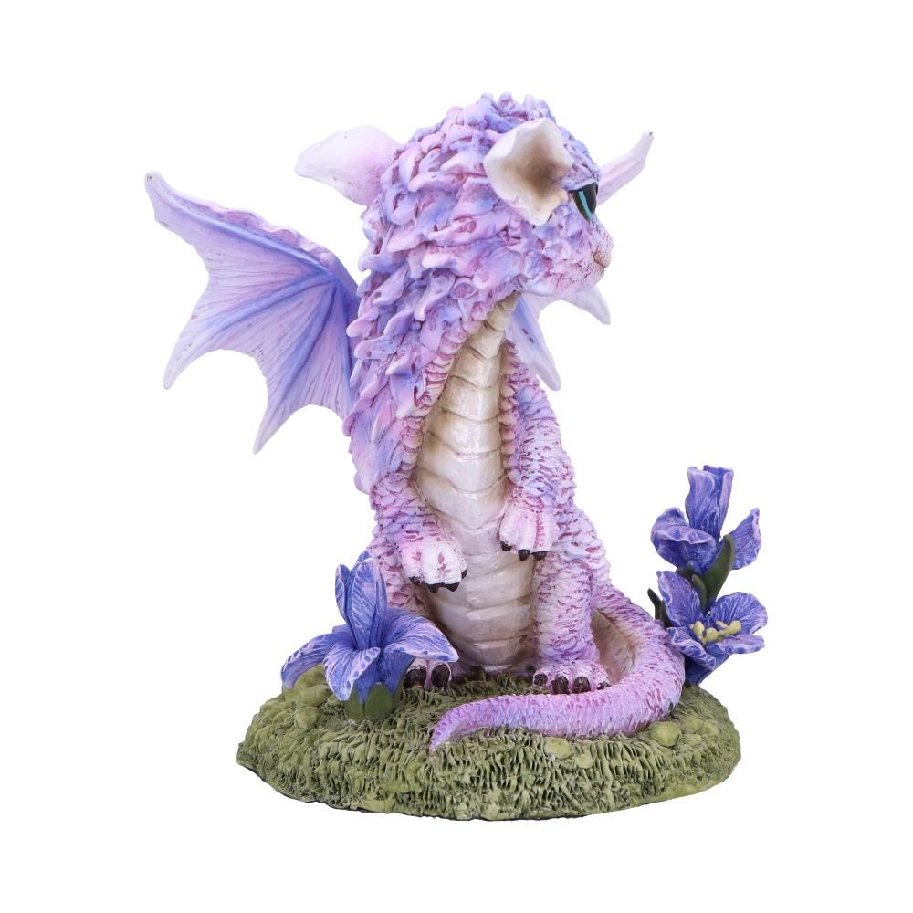 nn flower dragon iris 4