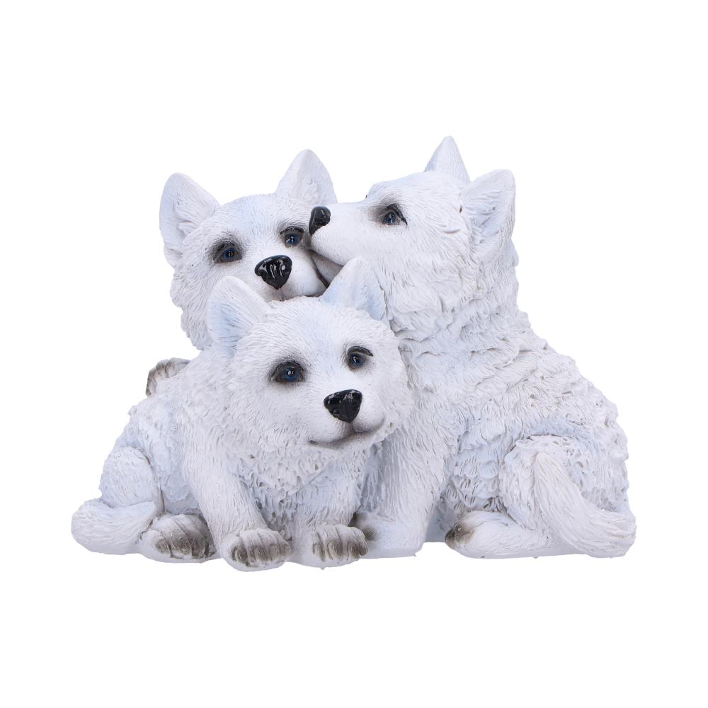 NN Cub Cuddle 1