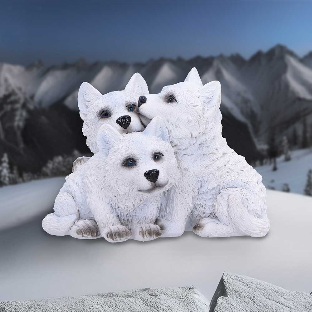 NN Cub Cuddle