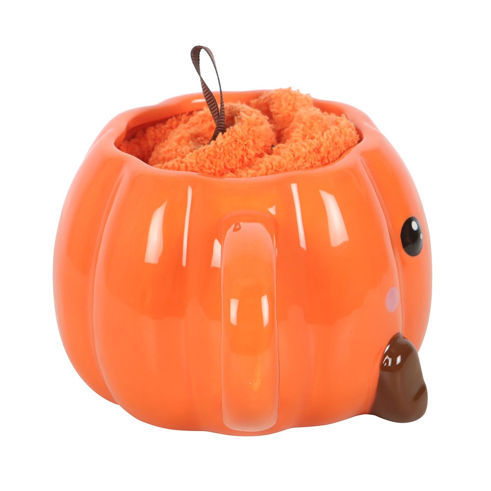 SD Pumpkin Mug and Socks 2