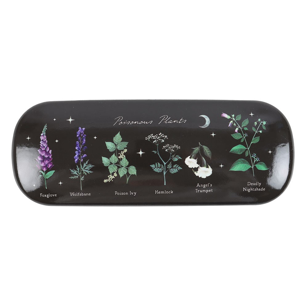 SD V&V PP Glasses Case 1 VE_05126