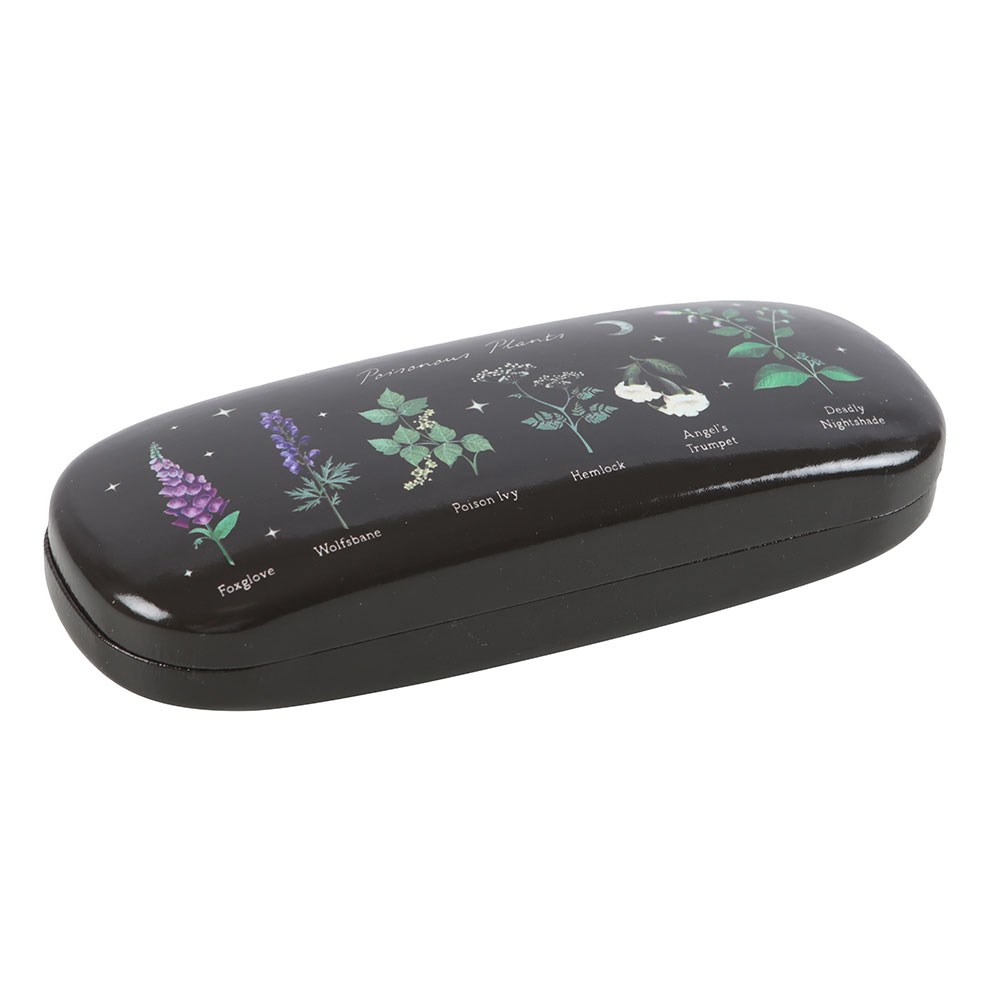 SD V&V PP Glasses Case 2 VE_05126
