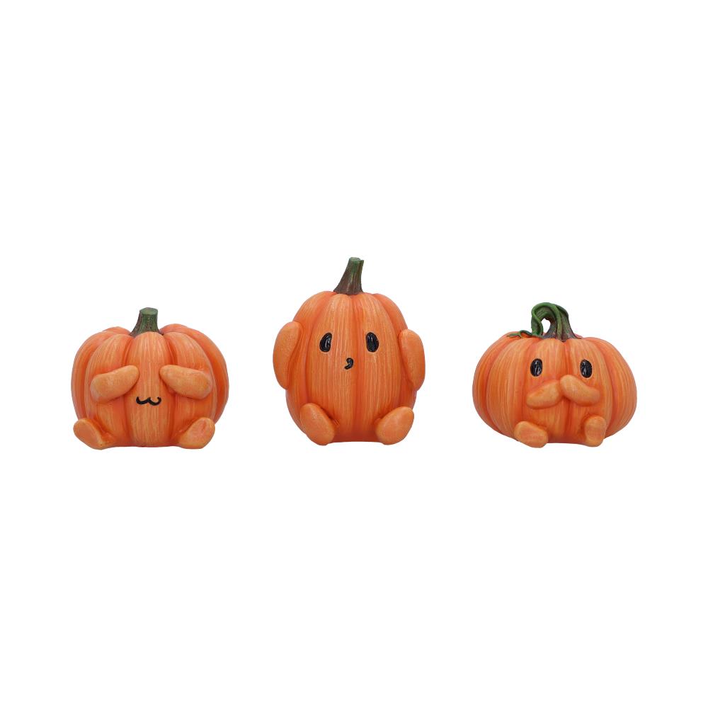 NN 3 Wise PUmpkins 1