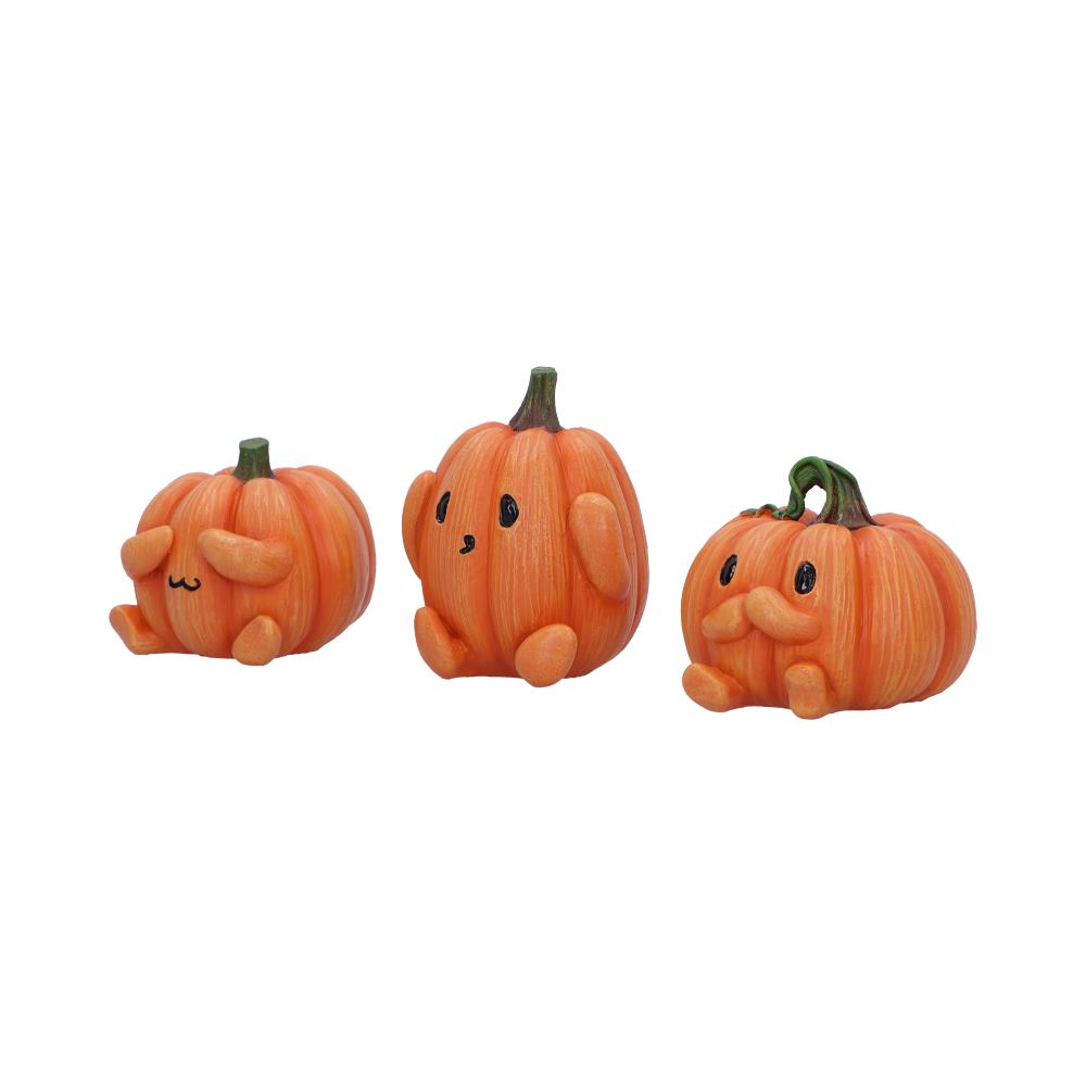 NN 3 Wise PUmpkins 2