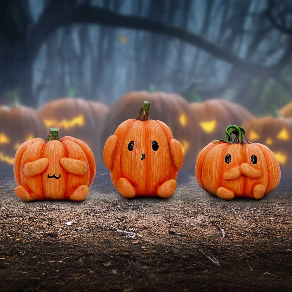 NN 3 Wise PUmpkins