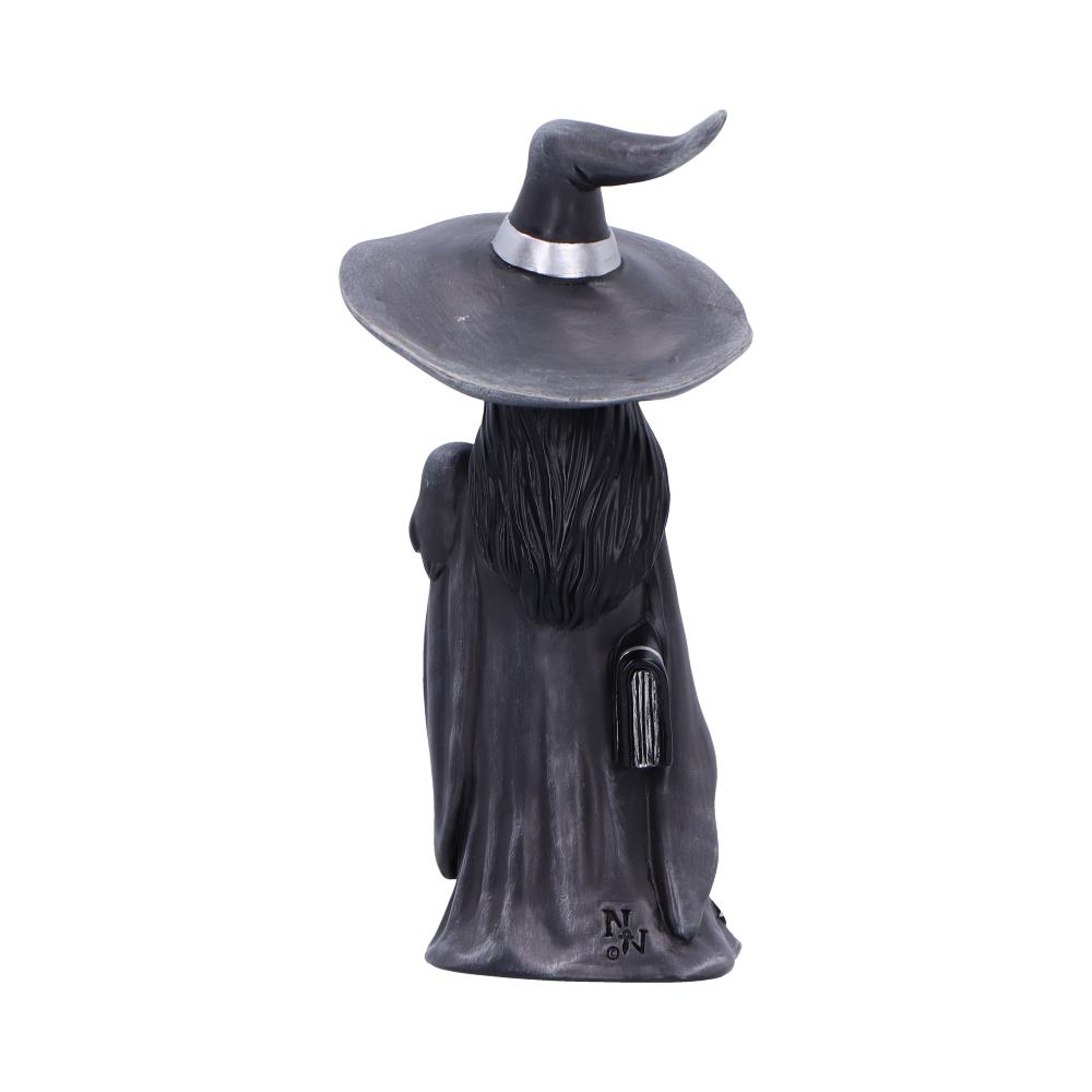 NN LS Gleam 2