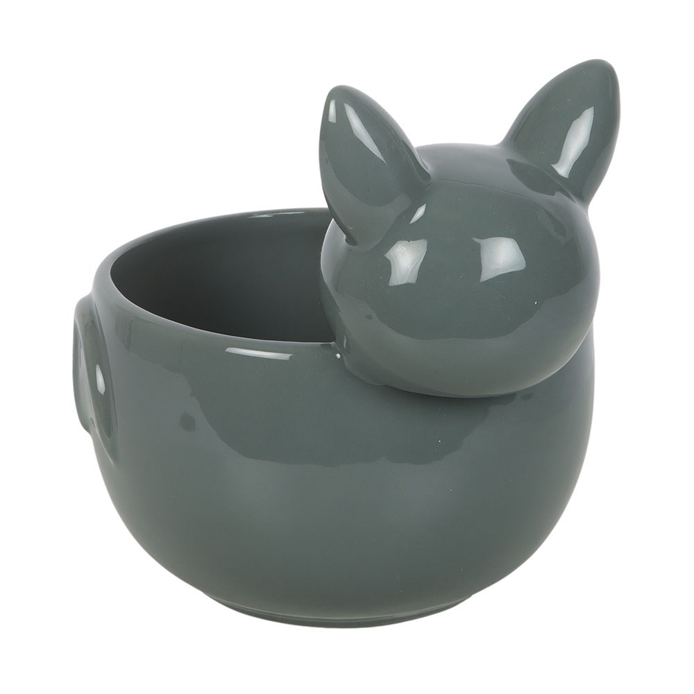 SD Bat Bowl 3