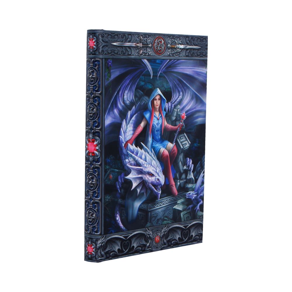 NN Journal Dragon Mage 4