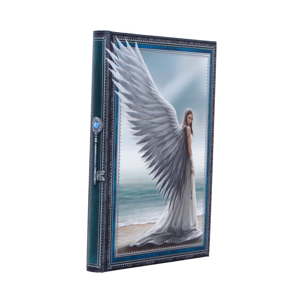 NN Journal Spirit Guide 3