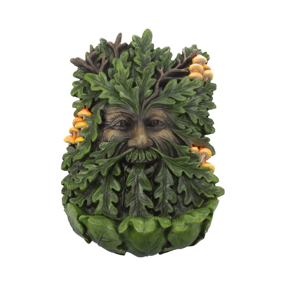 NN Elderwood 1