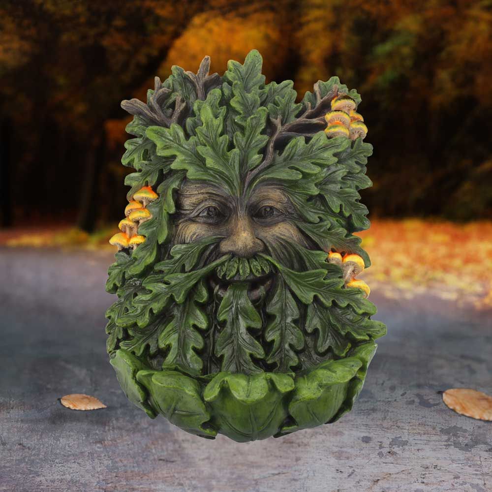 NN Elderwood